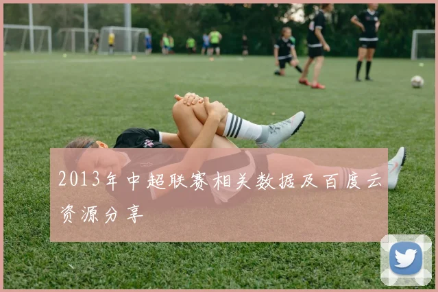 2013年中超联赛相关数据及百度云资源分享